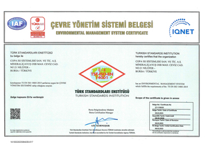 ISO 14001 Environmental Management System Certificate